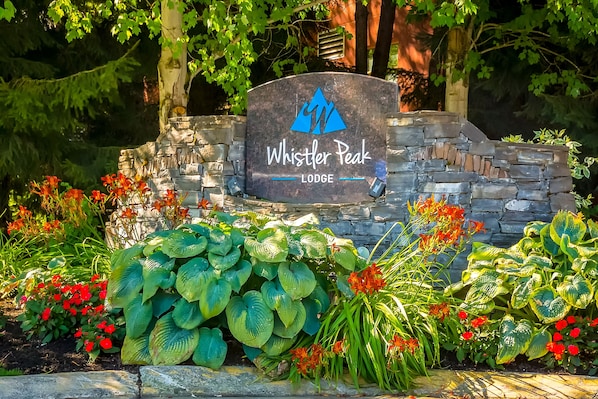 Terrain de l’hébergement 