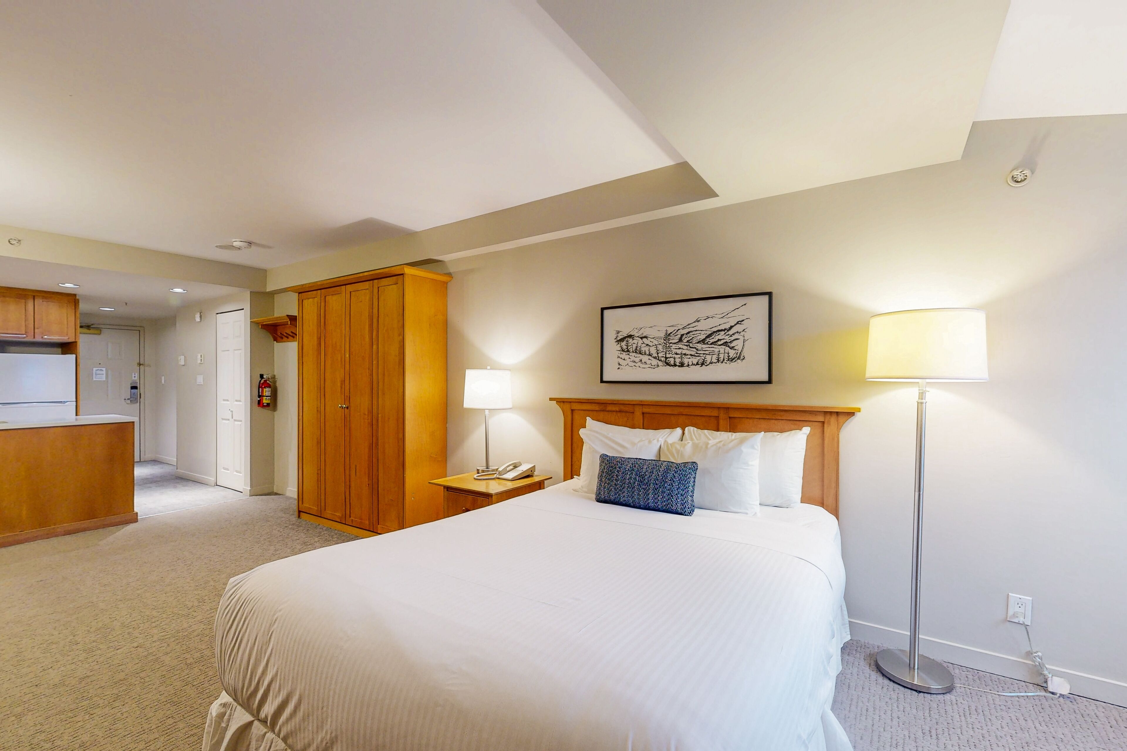 Iron/ironing board, Internet, bed sheets