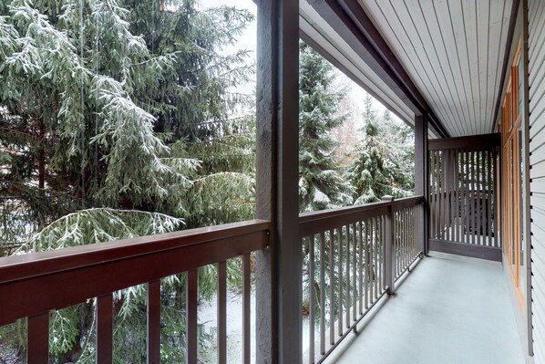 Terrain de l’hébergement 