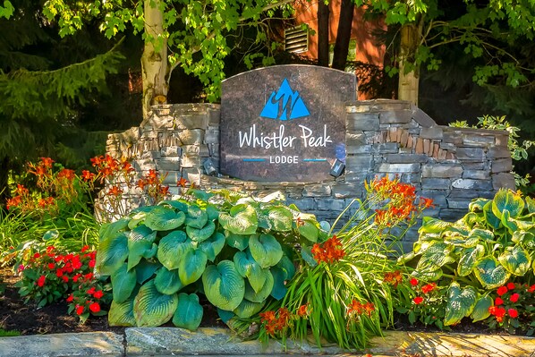 Terrain de l’hébergement 