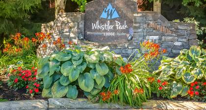 Relaxing 4th-floor studio with ski/mountain views, gym, fireplace, washer/dryer