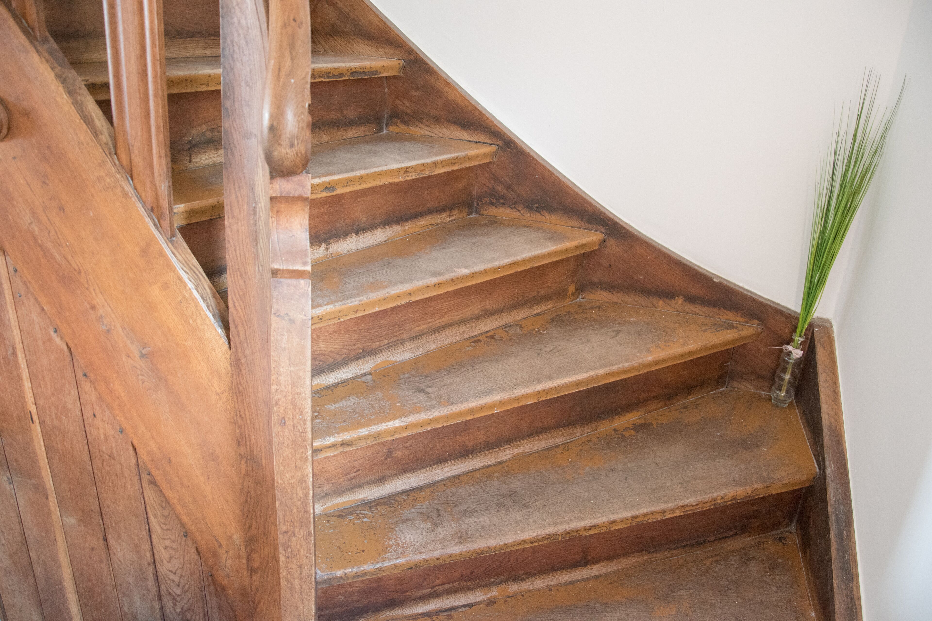 A wooden staircase with a plant beside it.