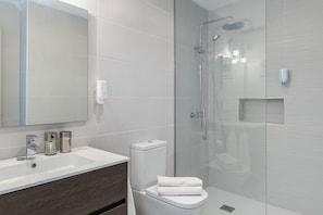 Shower, hair dryer, towels