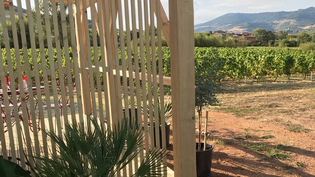 Een houten pergola met een potpalm er voor.