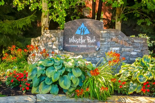 Skier's fourth-floor studio with  jetted tub, fireplace, & well-equipped kitchen