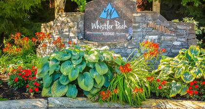 Skier's fourth-floor studio with jetted tub, fireplace, & well-equipped kitchen