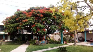 Il s’agit d’une propriété résidentielle dotée d’une pelouse bien entretenue, d’une balançoire et d’un grand arbre aux fleurs rouges et jaunes.