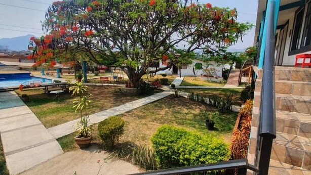Un jardin à l’arrière d’une maison, avec une piscine, un grand arbre et un escalier en pierre menant à un porche.