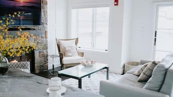 Télévision, cheminée, médiathÚque, chaßne hi-fi