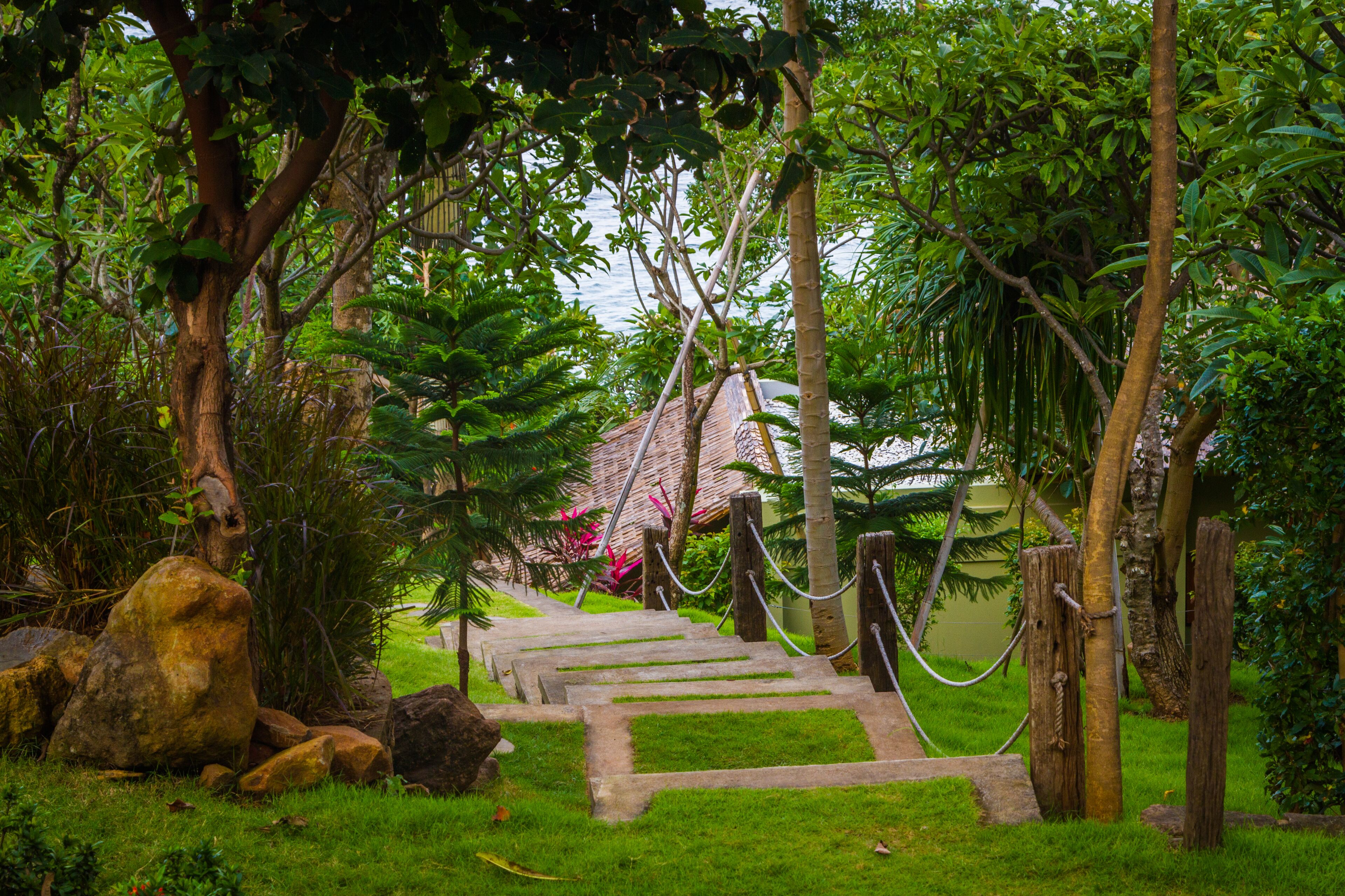 A stone staircase leading up to a building surrounded by lush greenery and trees.
