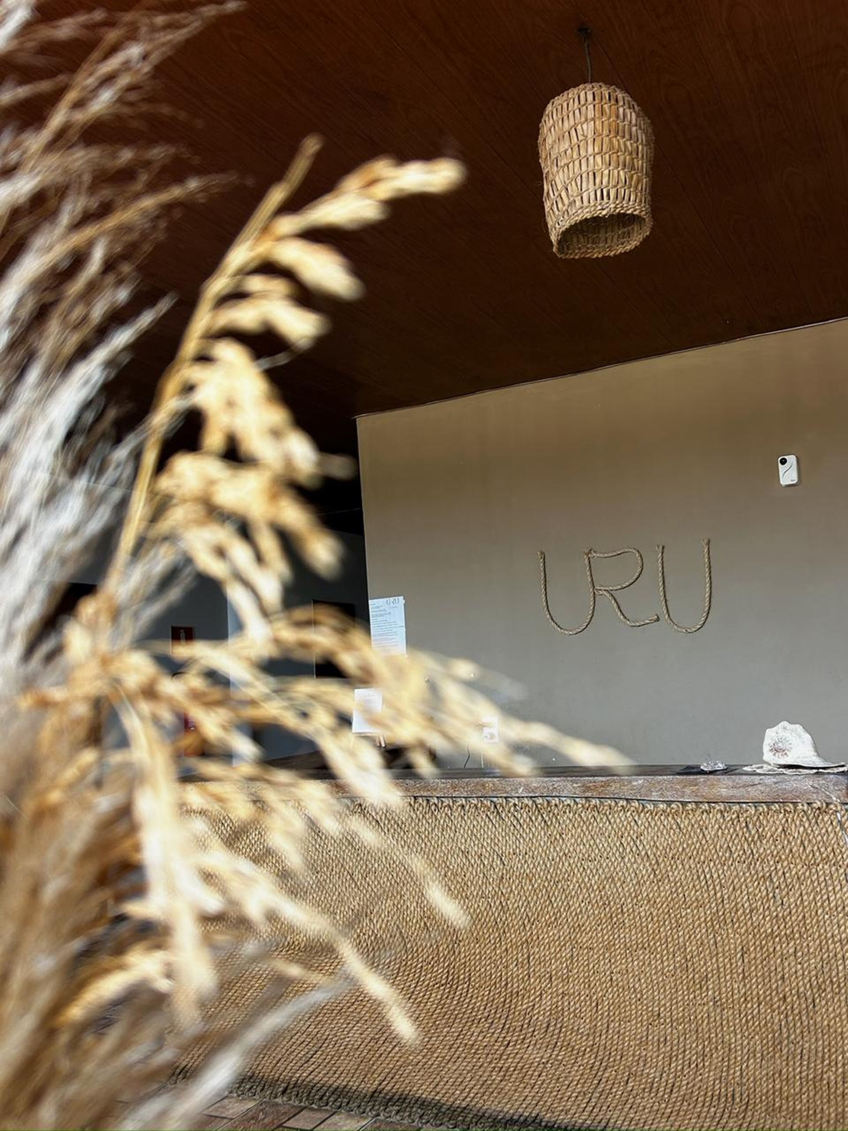 Foto - Uru Pousada