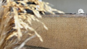 Mostrador de recepción con señalización 'URU', una lámpara de techo tejida y una planta desenfocada en primer plano.