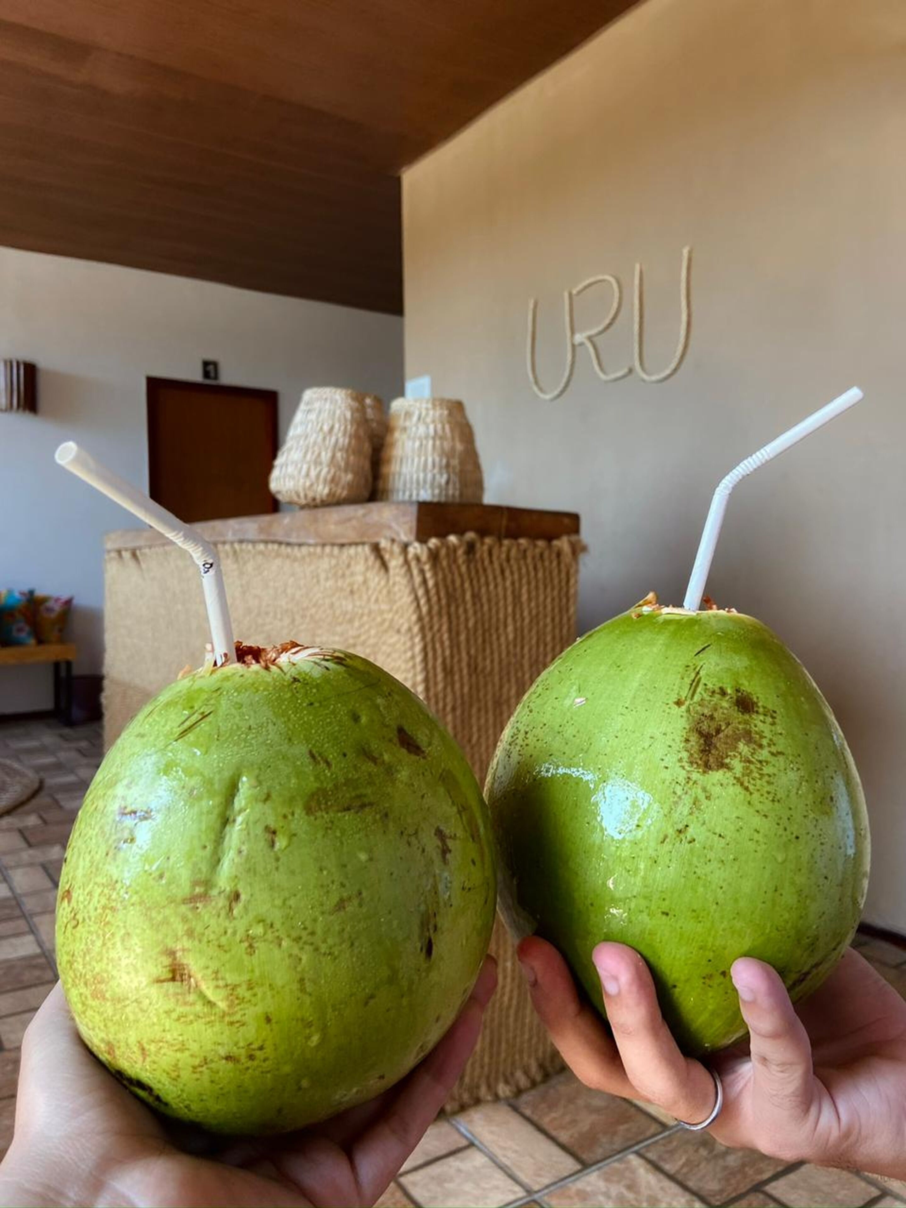 Foto - Uru Pousada