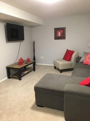 Smart TV, fireplace, books