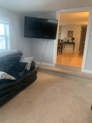 TV, fireplace, books