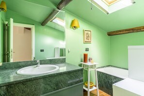 Combined shower/tub, hair dryer, bidet