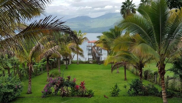A lush garden with palm trees and a view of a lake and mountains.