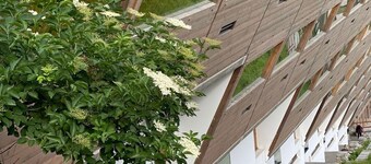 Modernly designed Apartment , Heart of the station, Ski on door, south terrace