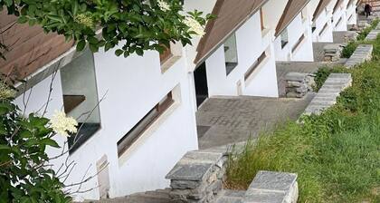 Modernly designed Apartment , Heart of the station, Ski on door, south terrace