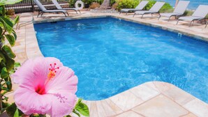 Una piscina amb gandules i una flor d'hibisc.