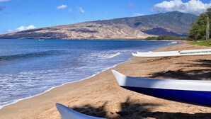 Una platja amb diverses canoes amb la marca "WAIOHI" i un parc eòlic al fons.