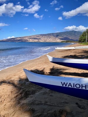On the beach, sun loungers, beach towels