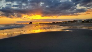 A beach at sunset with a pier extending into the water, a row of houses along the shore, and a few birds on the sand. - Just redone, 1 1/2 block from Ventnor beach (Ventnor City)