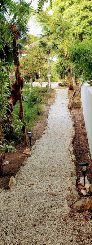 Property grounds - The Tree House By The Grace Bay Beach - 2b/1b,for 4(q+2twins),pool,AC,WiFi (The Bight Settlement)