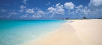 The Tree House By The Grace Bay Beach - 2b/1b,for 4(q+2twins),pool,AC,WiFi