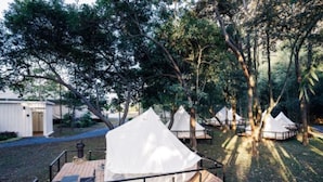 Un camping con varias tiendas blancas, una terraza de madera y un edificio pequeño.