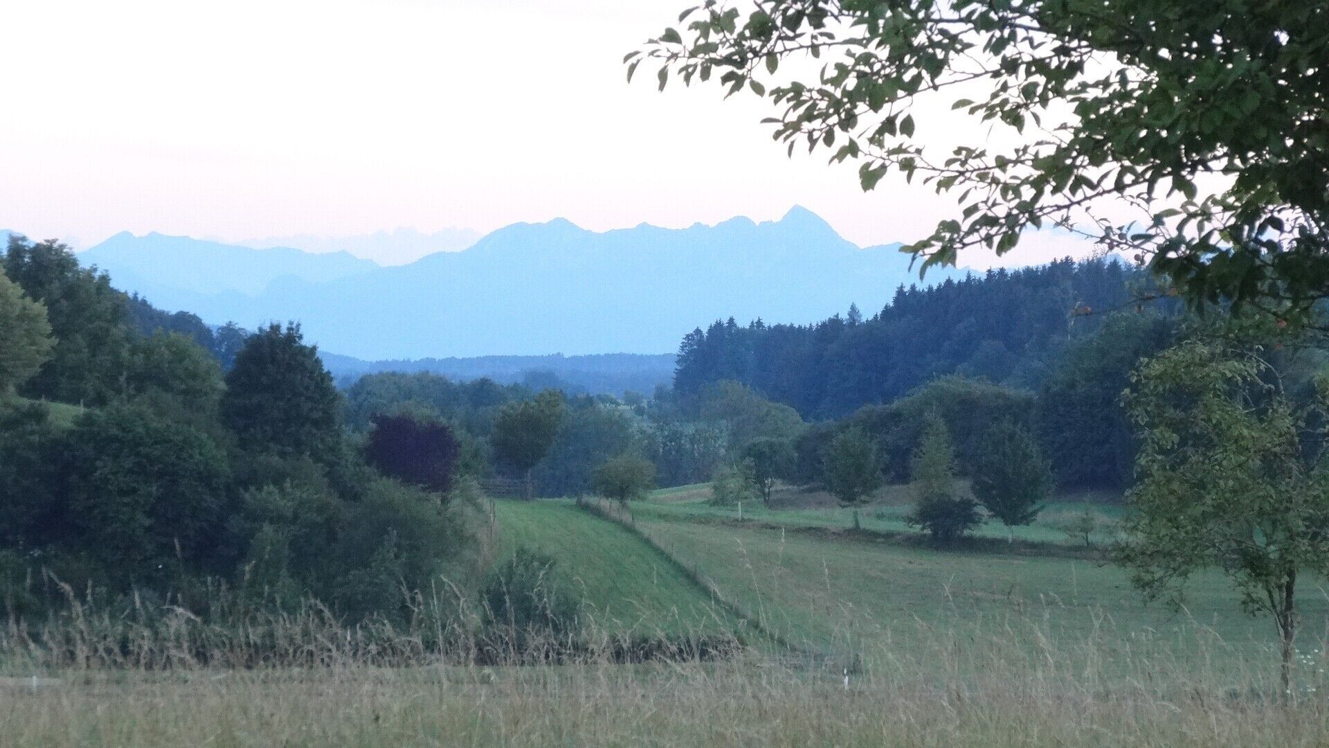 Un paysage rural avec des arbres, de l’herbe et des montagnes en arrière-plan.