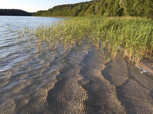 Müritz-Nationalpark, Badesee, Bootsverleih, Terrassendach, Wallbox, WLAN, Sauna