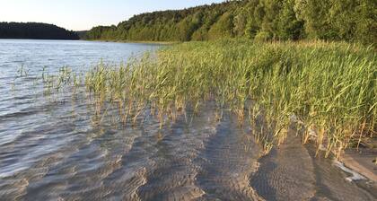 MĂŒritz National Park, bathing lake, boat rental, terrace roof, wallbox, WLAN, sauna