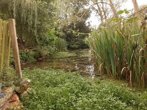 Property grounds - The washerwomen's house (Le Conquet)