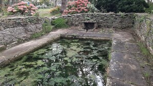 Ein steingefasster Teich mit Seerosen, umgeben von Steinmauern und Grünpflanzen.