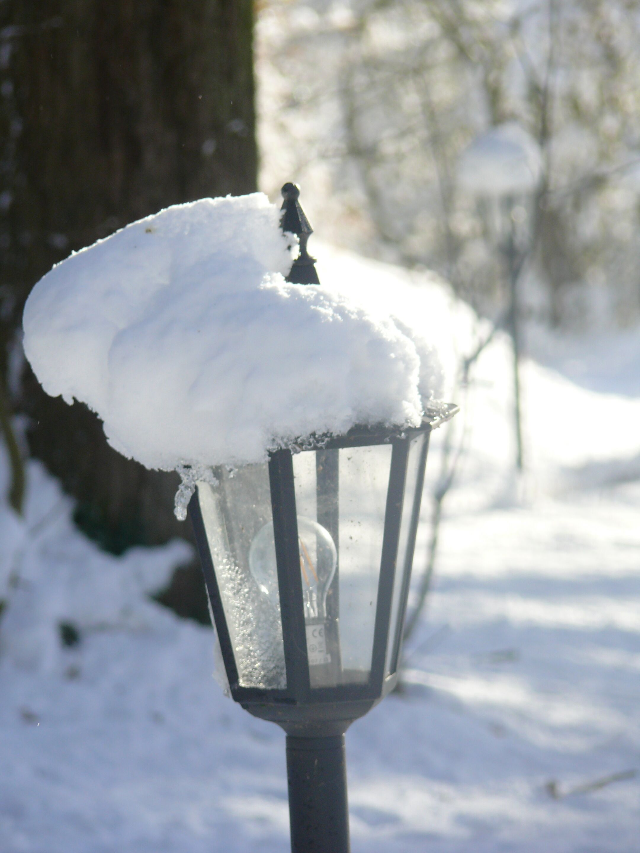 A snow-covered street lamp in a snowy outdoor setting.