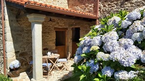 A stone building with a tiled roof, a wooden table with chairs, and a potted plant with blue flowers. - A Casa dos Avós - House with swimming pool, barbecue in the middle of nature in A Coruña. (Oza de los Ríos)