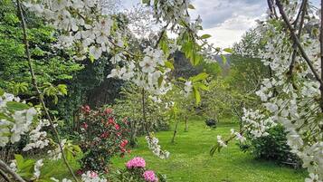 Terrein van de accommodatie