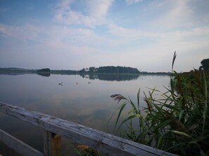 Imagen sin descripción, 5 de 32, botón