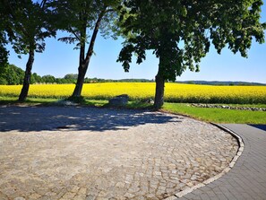 Imagen sin descripción, 4 de 32, botón