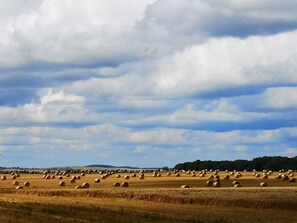 Imagen sin descripción, 5 de 32, botón