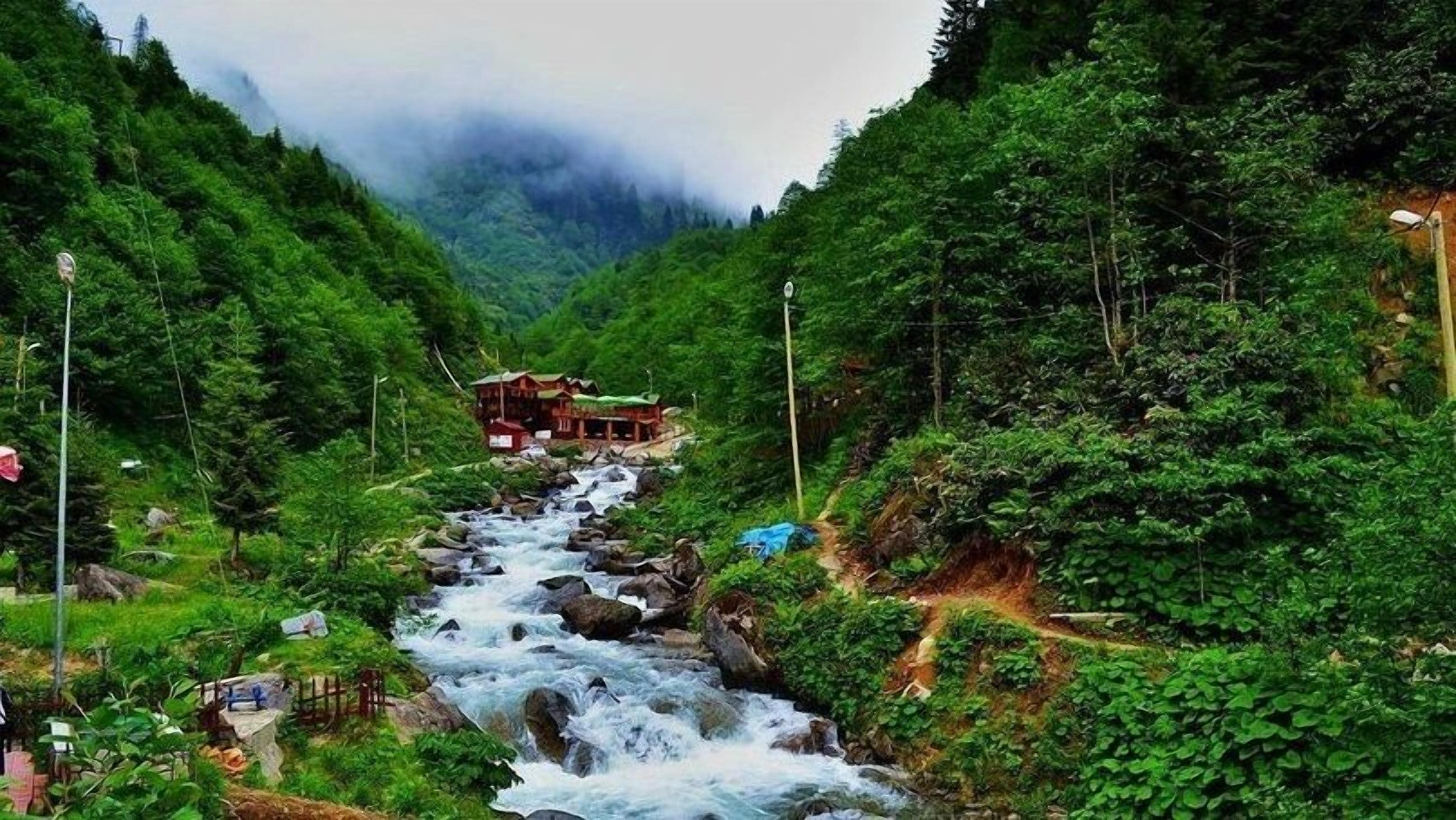 Una casa a la vora d'un riu corrent, envoltada per un bosc dens.