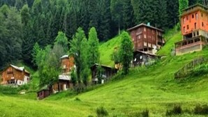 A cluster of traditional wooden houses on a hillside with dense forest in the background.