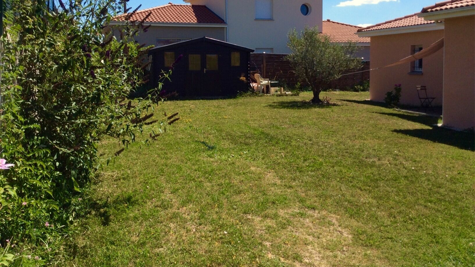 A residential area with a grassy yard, a small tree, and a building with a red-tiled roof.