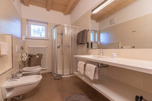 Shower, hair dryer, bidet, towels
