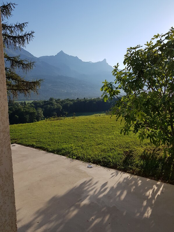 Property grounds - T2 apartment in a chalet in Domancy, terrace with Mont Blanc view (DOMANCY)