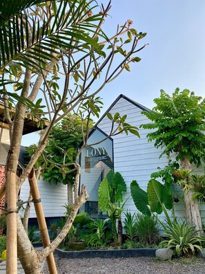 Property grounds - The Jungle Hostel Canggu (Canggu)
