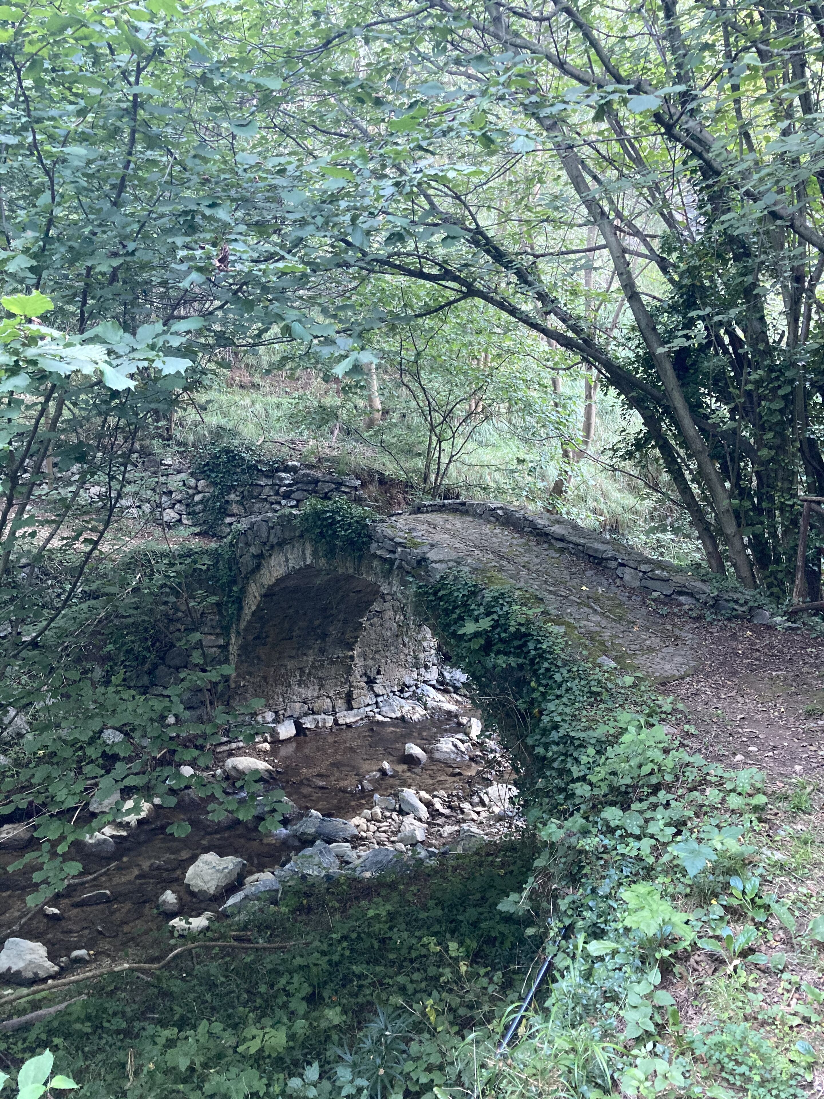 Un puente de piedra sobre un arroyo en un área boscosa.
