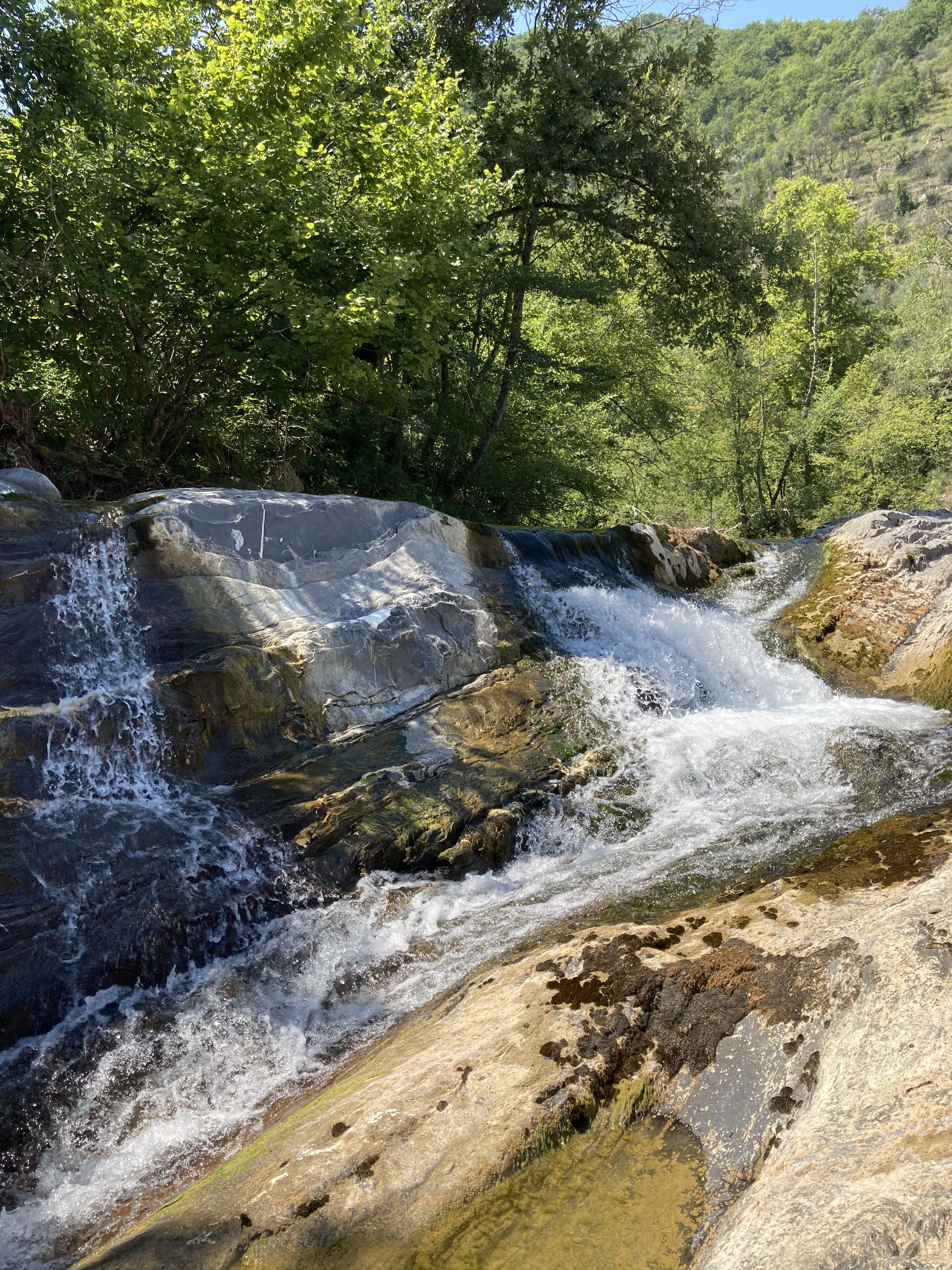 Una cascada se precipita sobre rocas rodeadas de exuberante follaje verde.