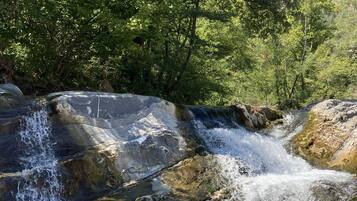 Una cascada se precipita sobre rocas rodeadas de exuberante follaje verde.